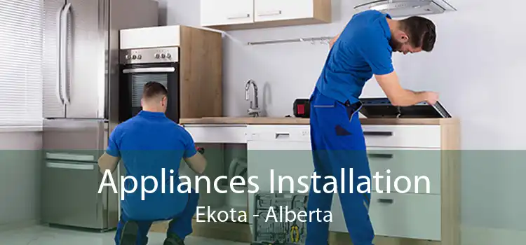 Appliances Installation Ekota - Alberta