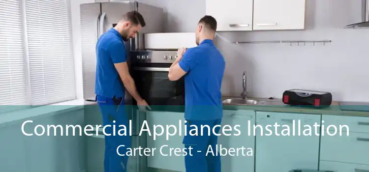 Commercial Appliances Installation Carter Crest - Alberta