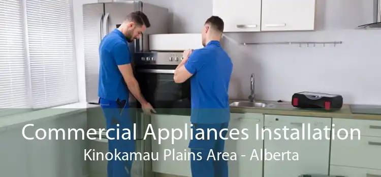 Commercial Appliances Installation Kinokamau Plains Area - Alberta