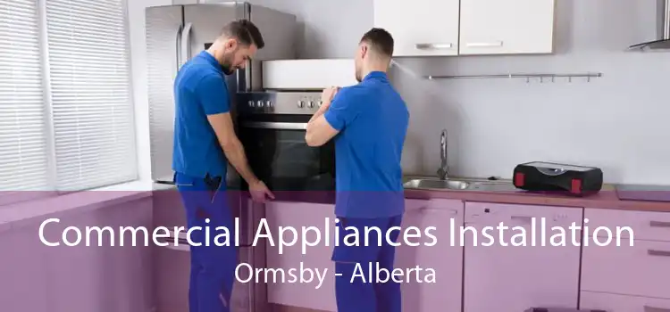 Commercial Appliances Installation Ormsby - Alberta