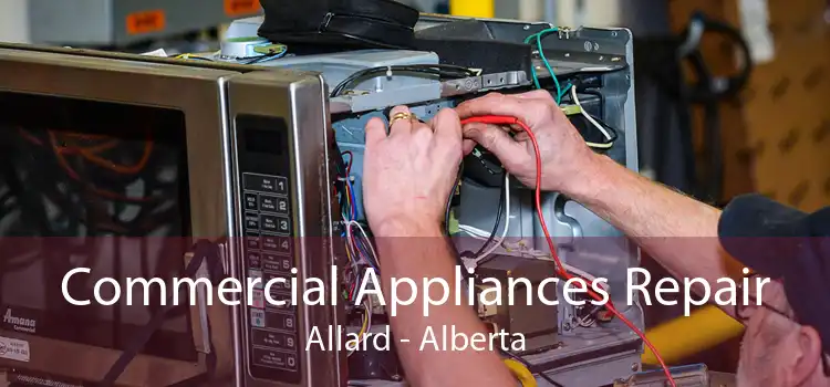 Commercial Appliances Repair Allard - Alberta