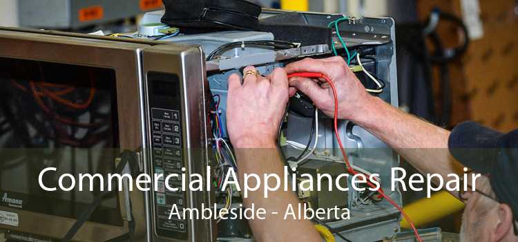 Commercial Appliances Repair Ambleside - Alberta