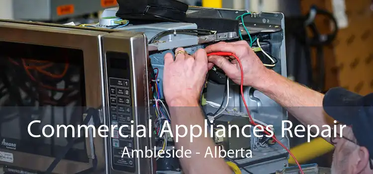 Commercial Appliances Repair Ambleside - Alberta