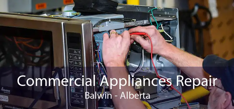 Commercial Appliances Repair Balwin - Alberta