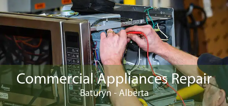 Commercial Appliances Repair Baturyn - Alberta