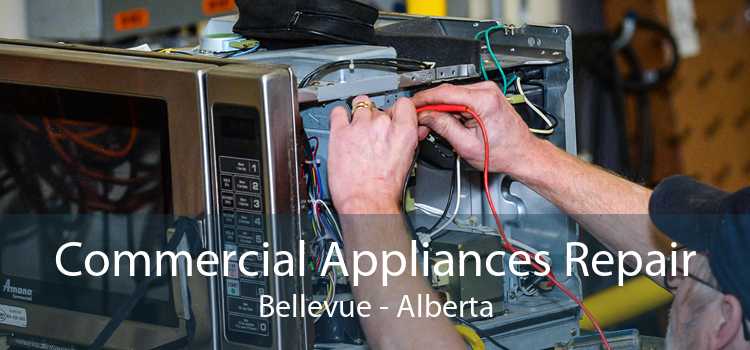 Commercial Appliances Repair Bellevue - Alberta