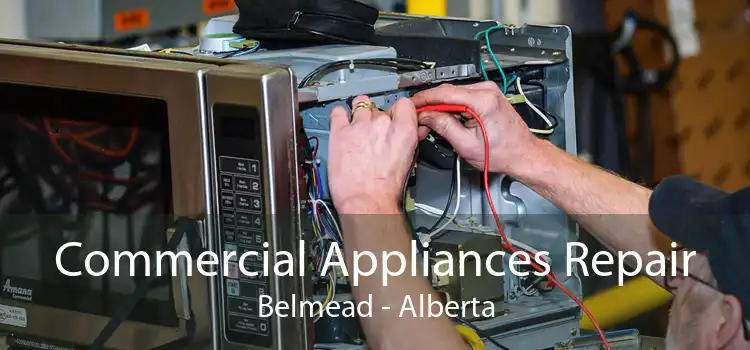 Commercial Appliances Repair Belmead - Alberta