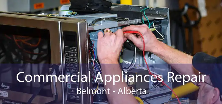 Commercial Appliances Repair Belmont - Alberta