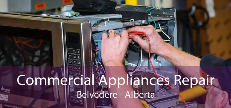 Commercial Appliances Repair Belvedere - Alberta
