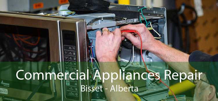 Commercial Appliances Repair Bisset - Alberta