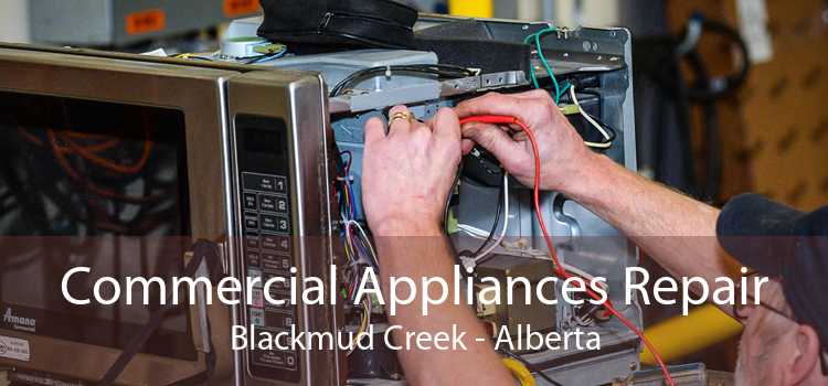 Commercial Appliances Repair Blackmud Creek - Alberta