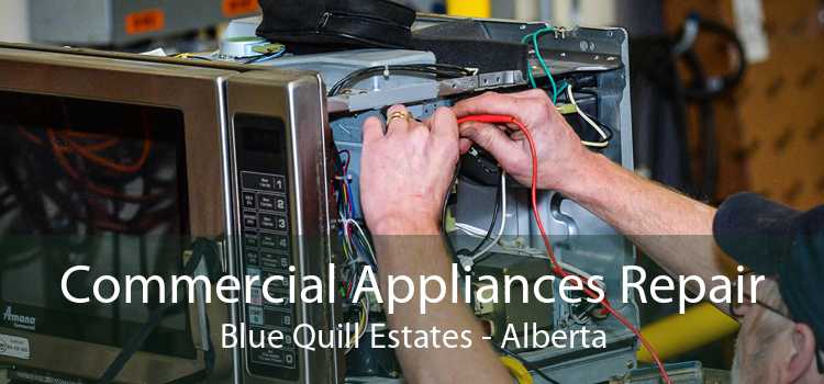 Commercial Appliances Repair Blue Quill Estates - Alberta