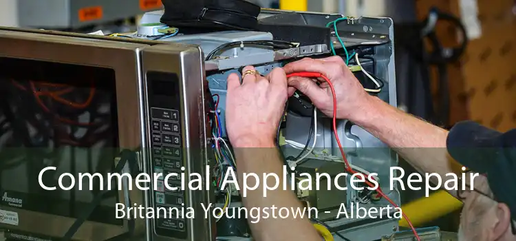 Commercial Appliances Repair Britannia Youngstown - Alberta