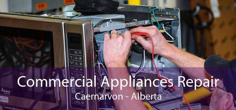Commercial Appliances Repair Caernarvon - Alberta