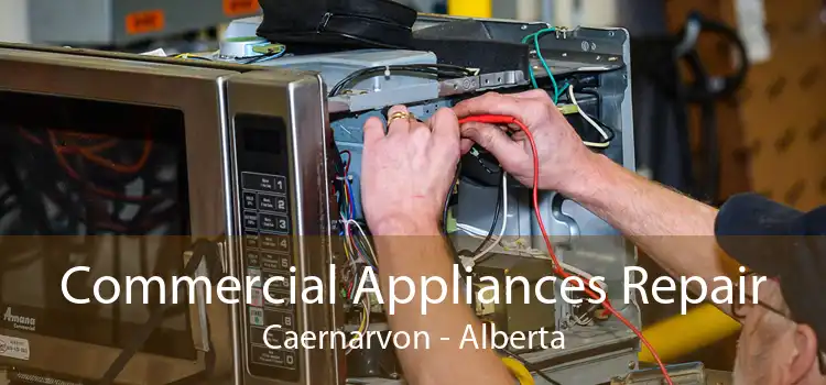 Commercial Appliances Repair Caernarvon - Alberta