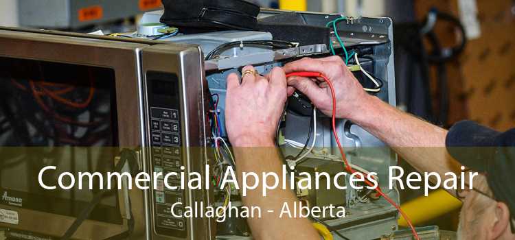 Commercial Appliances Repair Callaghan - Alberta