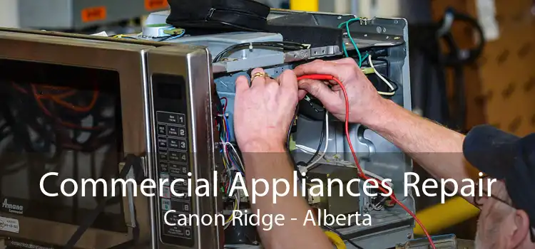 Commercial Appliances Repair Canon Ridge - Alberta