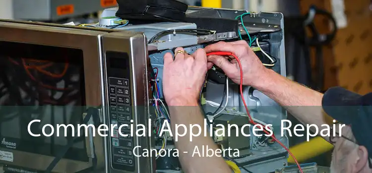 Commercial Appliances Repair Canora - Alberta