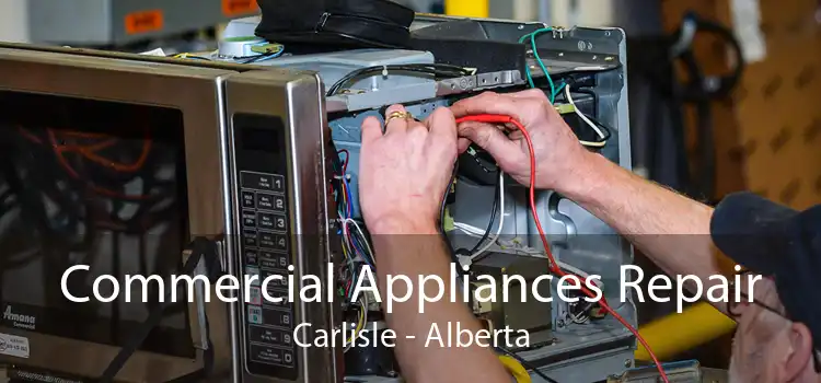 Commercial Appliances Repair Carlisle - Alberta
