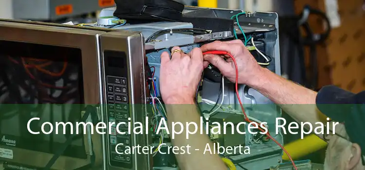 Commercial Appliances Repair Carter Crest - Alberta