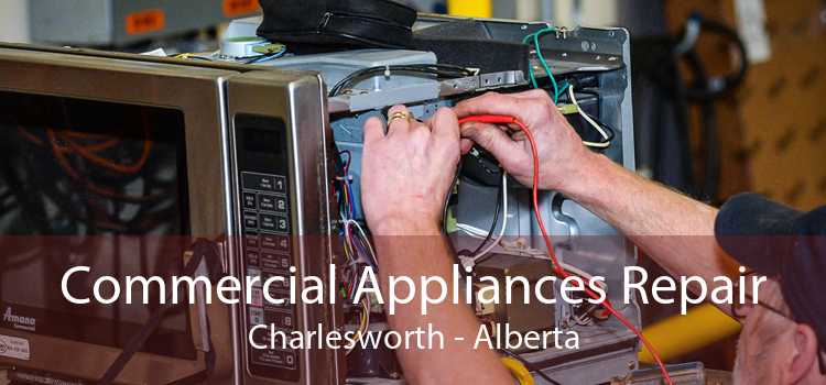 Commercial Appliances Repair Charlesworth - Alberta