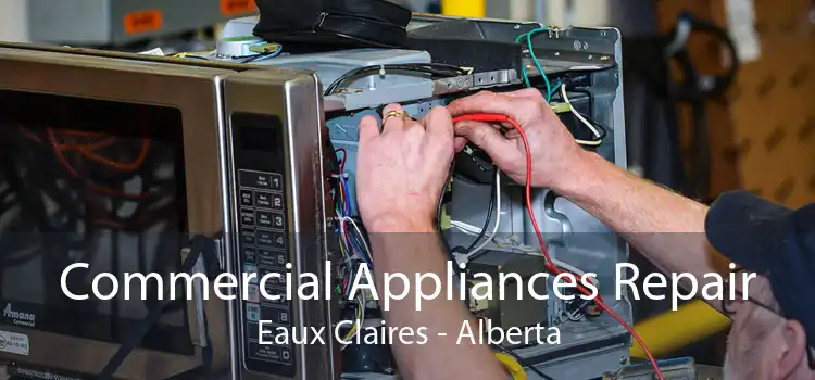 Commercial Appliances Repair Eaux Claires - Alberta
