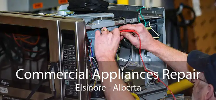 Commercial Appliances Repair Elsinore - Alberta