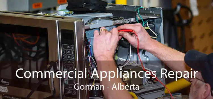 Commercial Appliances Repair Gorman - Alberta