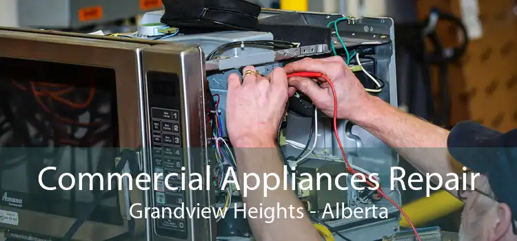 Commercial Appliances Repair Grandview Heights - Alberta