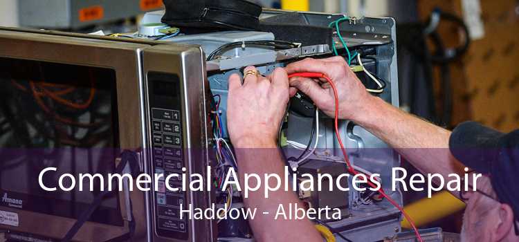 Commercial Appliances Repair Haddow - Alberta
