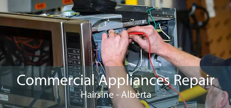 Commercial Appliances Repair Hairsine - Alberta