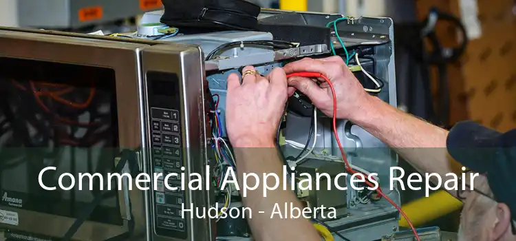 Commercial Appliances Repair Hudson - Alberta
