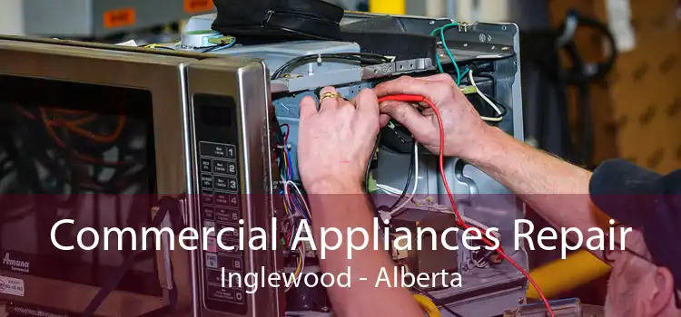 Commercial Appliances Repair Inglewood - Alberta