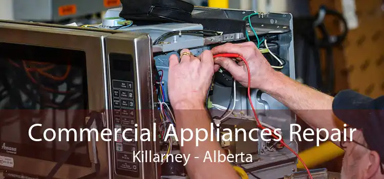 Commercial Appliances Repair Killarney - Alberta