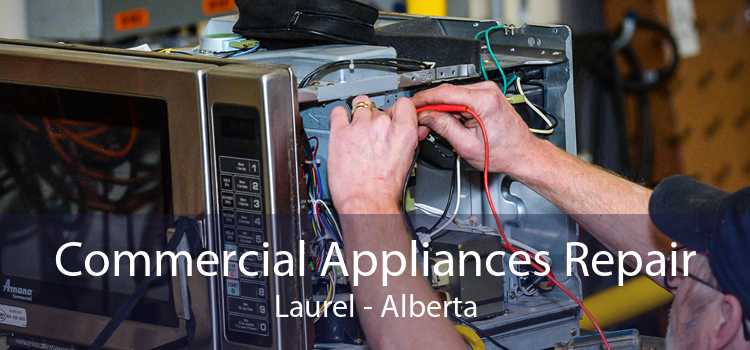 Commercial Appliances Repair Laurel - Alberta