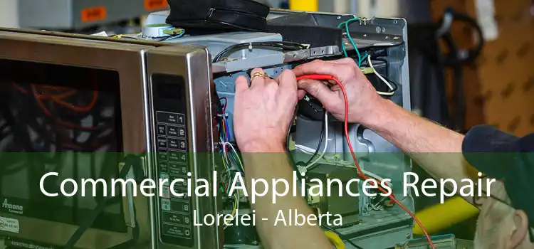 Commercial Appliances Repair Lorelei - Alberta