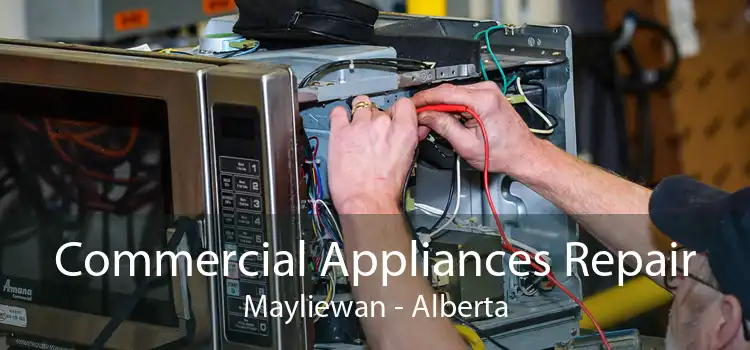 Commercial Appliances Repair Mayliewan - Alberta