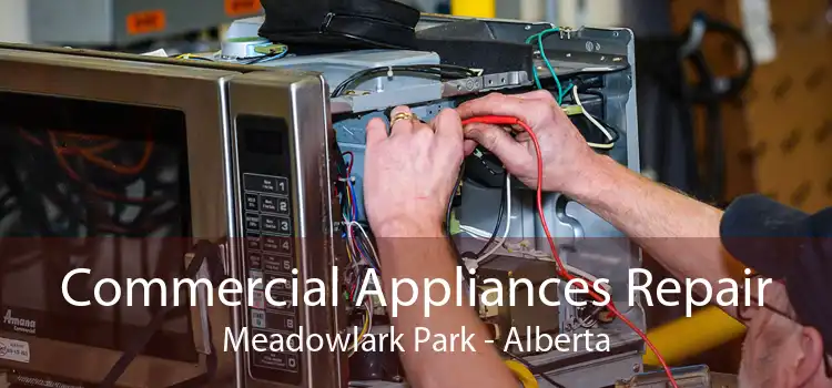 Commercial Appliances Repair Meadowlark Park - Alberta