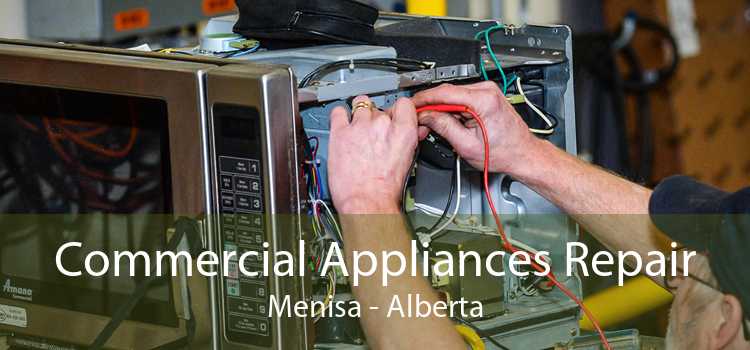 Commercial Appliances Repair Menisa - Alberta