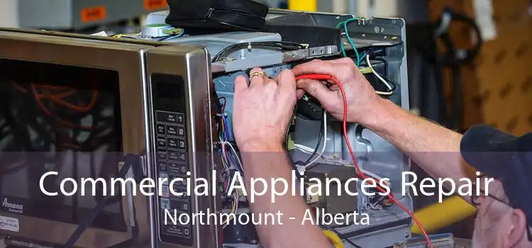 Commercial Appliances Repair Northmount - Alberta