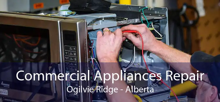 Commercial Appliances Repair Ogilvie Ridge - Alberta