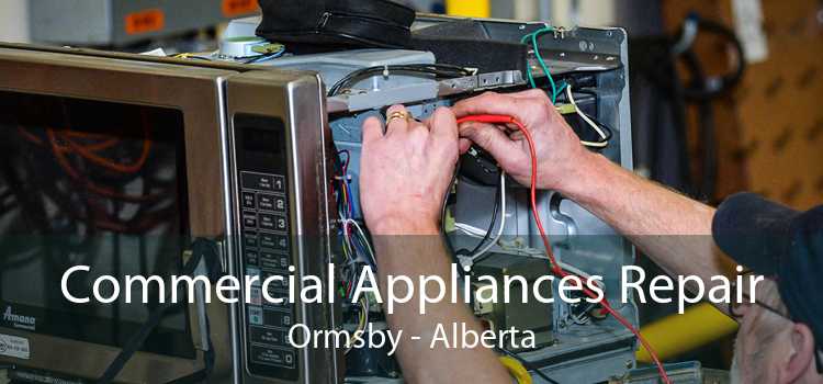 Commercial Appliances Repair Ormsby - Alberta