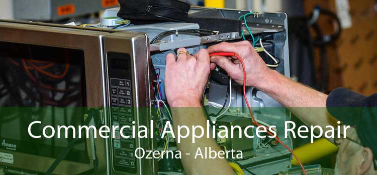 Commercial Appliances Repair Ozerna - Alberta