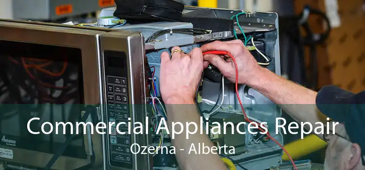 Commercial Appliances Repair Ozerna - Alberta