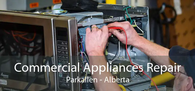 Commercial Appliances Repair Parkallen - Alberta