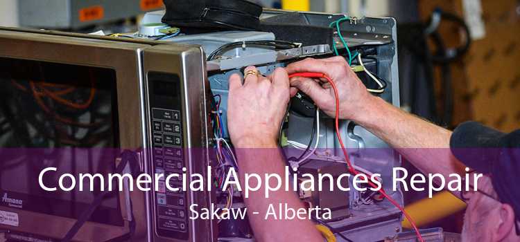 Commercial Appliances Repair Sakaw - Alberta