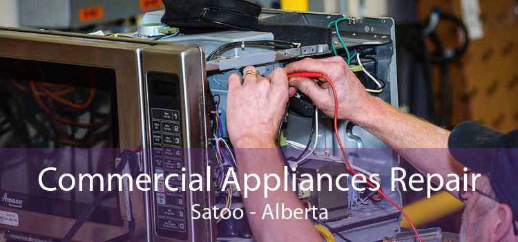 Commercial Appliances Repair Satoo - Alberta