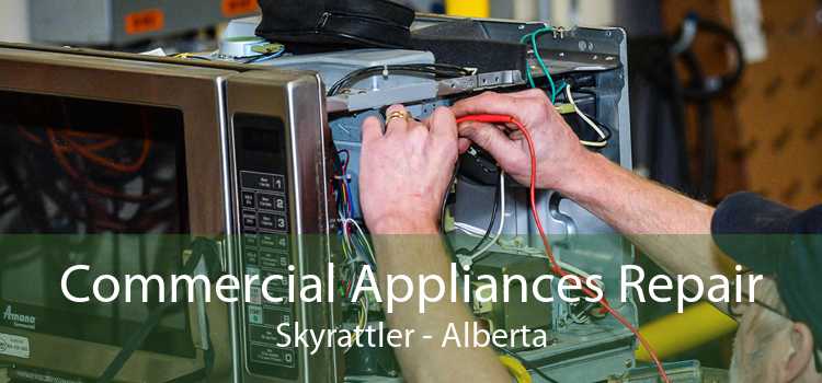 Commercial Appliances Repair Skyrattler - Alberta