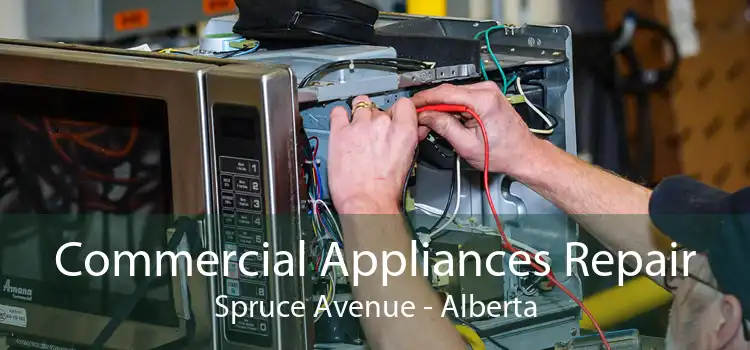 Commercial Appliances Repair Spruce Avenue - Alberta