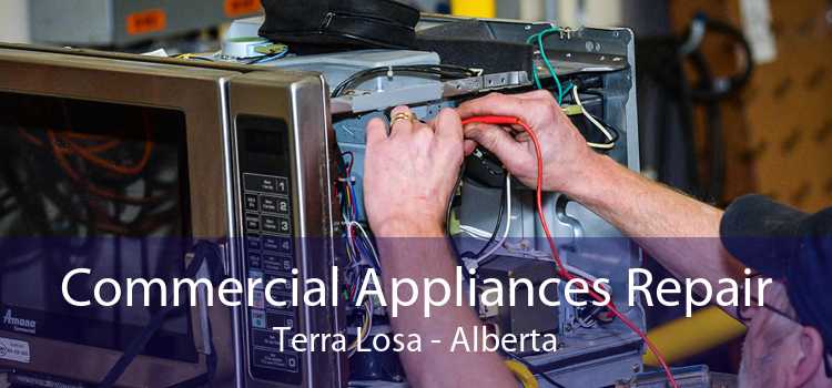 Commercial Appliances Repair Terra Losa - Alberta